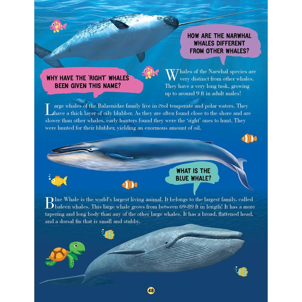 Dreamland Publications Animal World Children Encyclopedia Book | All About Trivia Questions and Answers