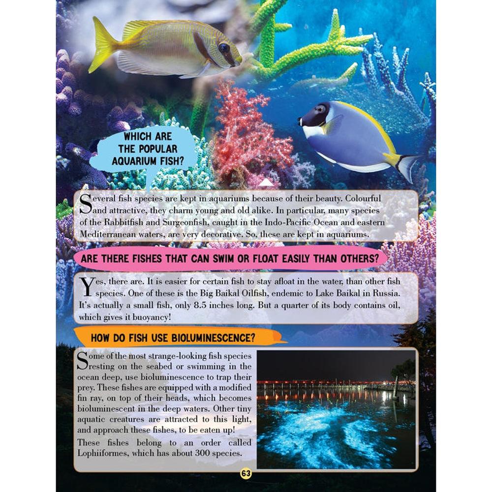 Dreamland Publications Animal World Children Encyclopedia Book | All About Trivia Questions and Answers